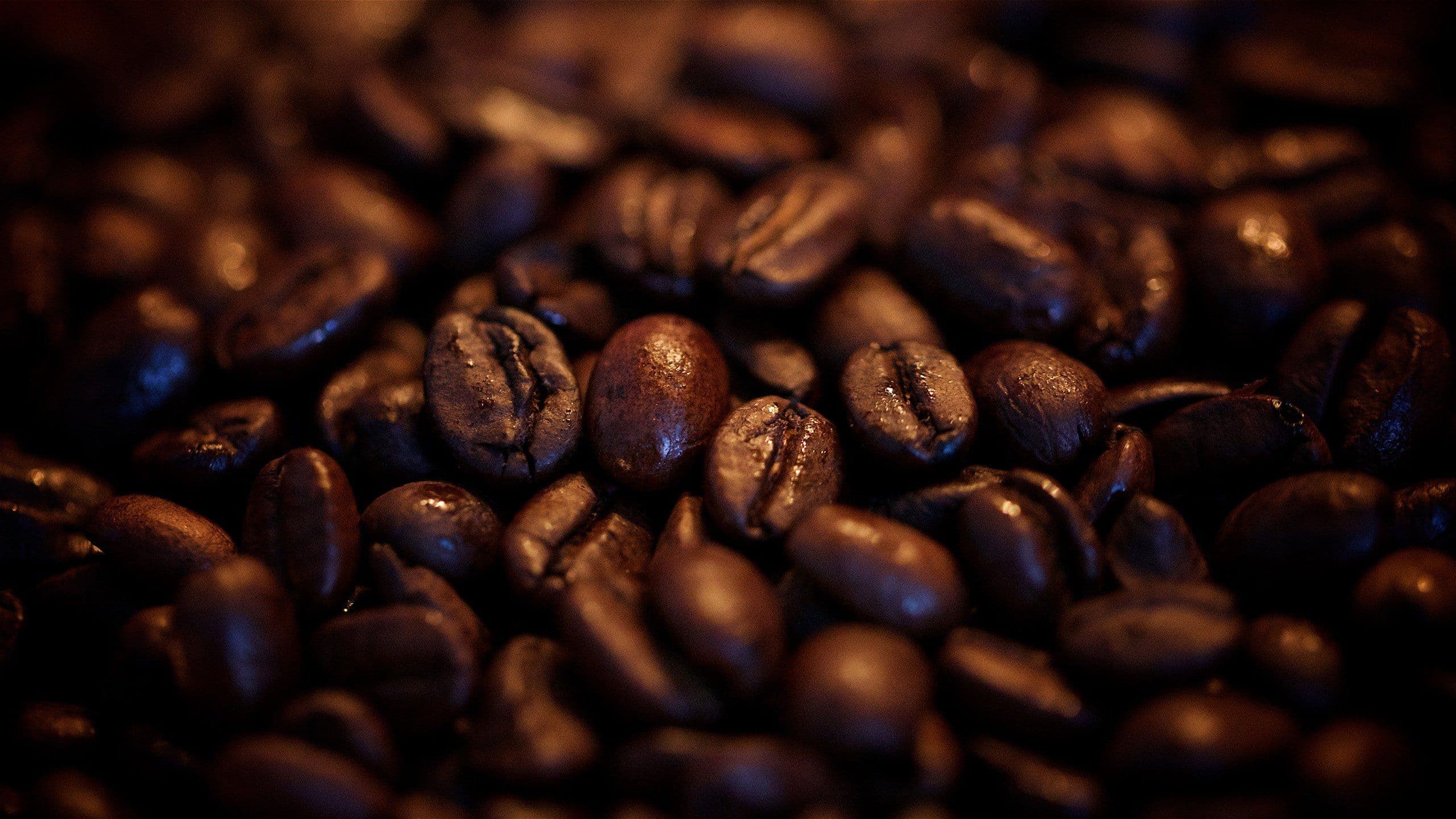 coffee-bean